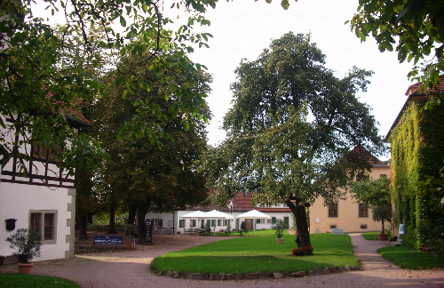 Hoflößnitz
